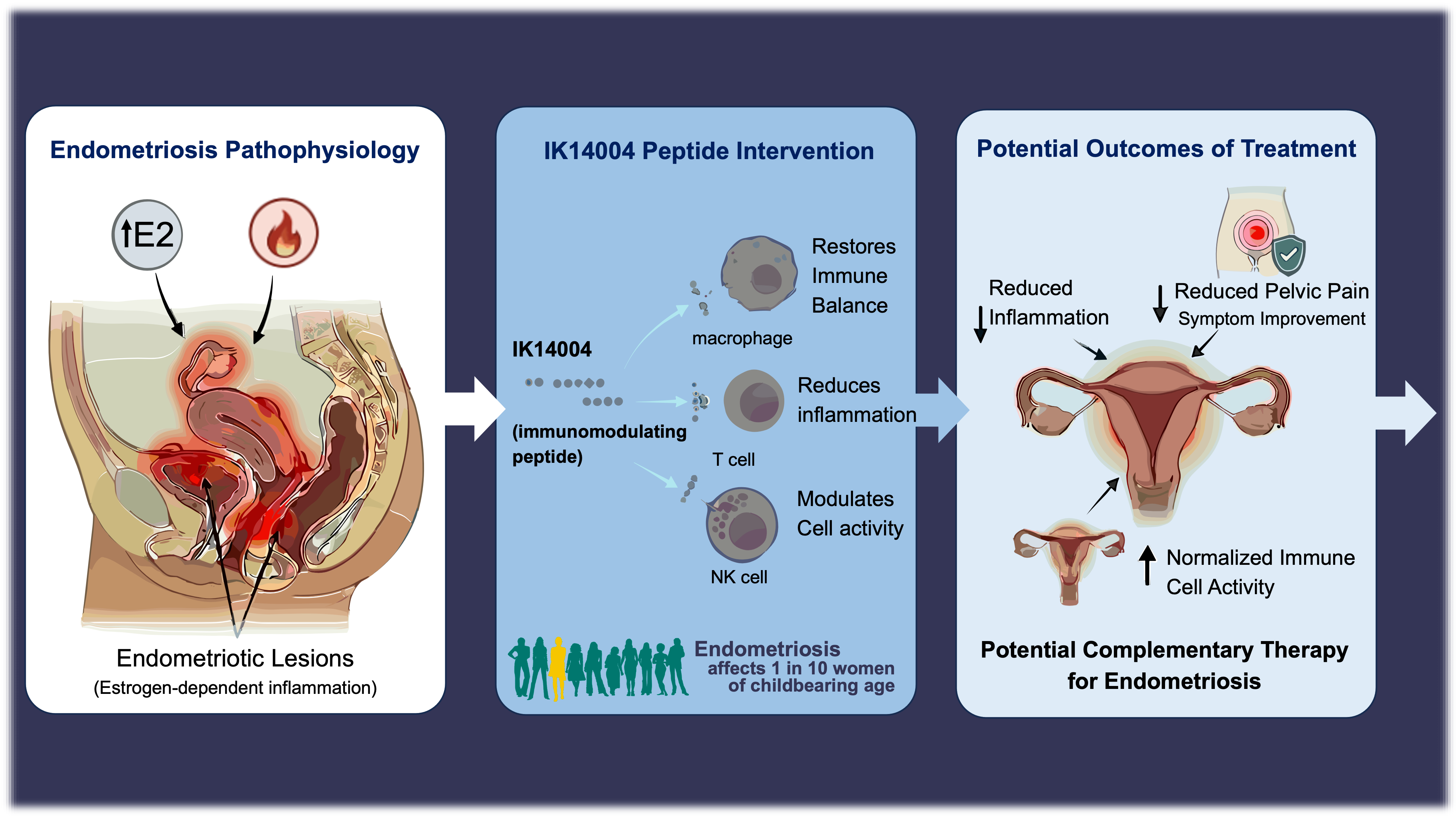 Illustration of endometriosis and immune dysfunction